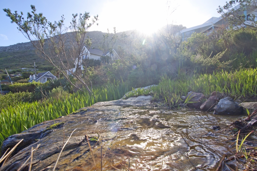 0 Bedroom Property for Sale in Clovelly Western Cape